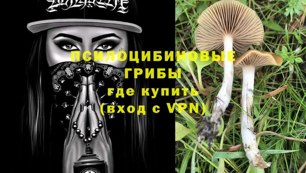 эйфоретик Новокубанск