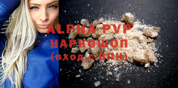 дживик Новозыбков