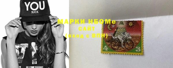 дживик Новозыбков