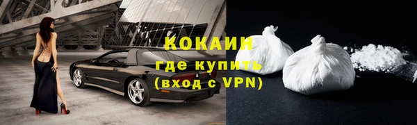 дживик Новозыбков