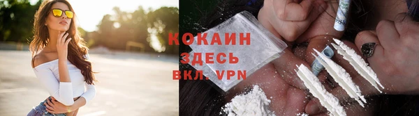 дживик Новозыбков