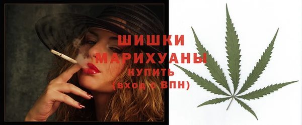 дживик Новозыбков