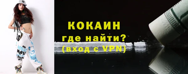 дживик Новозыбков