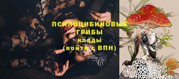 МДМА Новодвинск