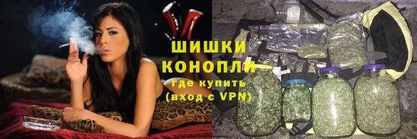 дживик Новозыбков
