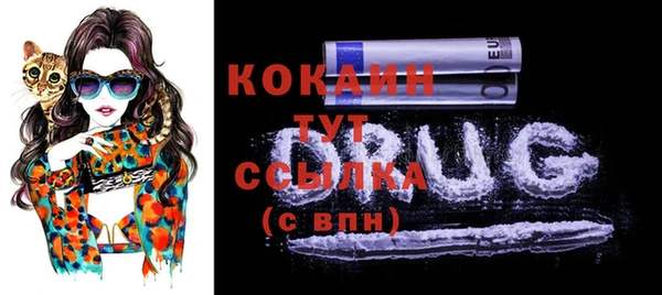 эйфоретик Новокубанск