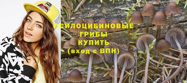 эйфоретик Новокубанск